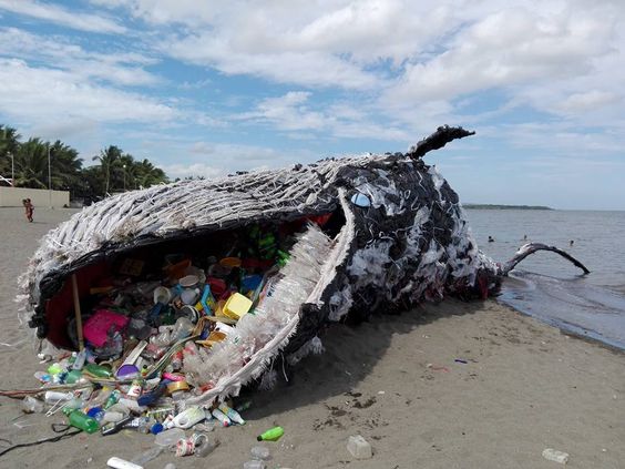plastic whale trash