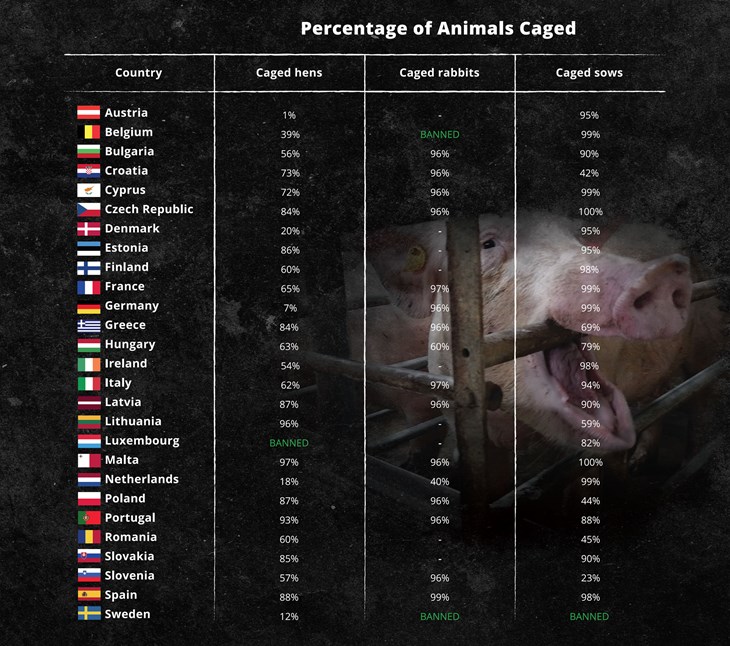 caged-animals-by-country-graph-2000x1771