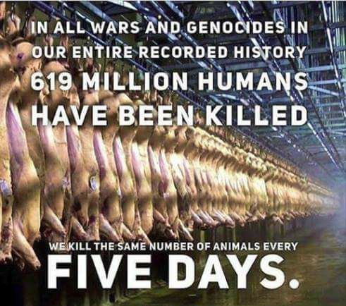animals killed humans