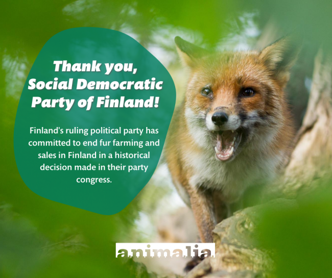 This image has an empty alt attribute; its file name is finland-fur-1.png