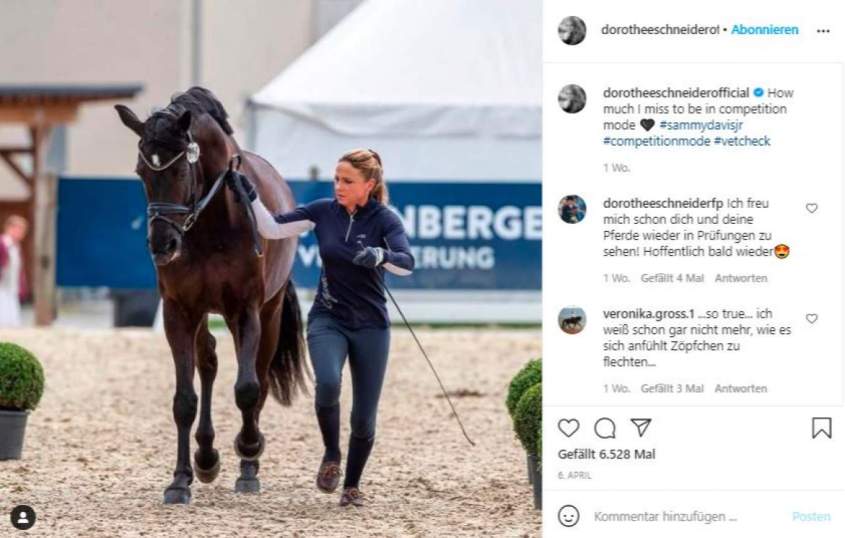 Germany-Dressage horse Rosi collapses at the award ceremony and dies ...